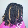 Two Strand Twist( 12-14 inch)