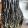 Medium Senegalese twist with hair