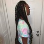 Back length butterfly locs