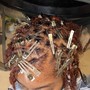 Starter Dreadlocks