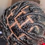 Box Braids (Mid-Back)