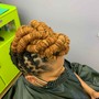 Flat Twist Updo