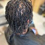 Root Touch Up