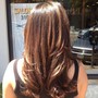 Partial Highlights