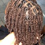 Starter loc twists