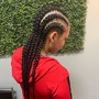 Braids and Ponytail