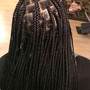 Jumbo Knotless/Box Braids