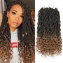 Faux Loc Extensions