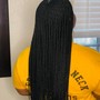 Medium  Box Braids