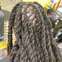 Starter locs “beginners”