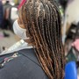 Havana Twists