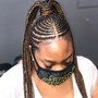 WIG BRAIDS