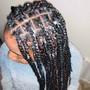 Two Strand Twist( 12-14 inch)