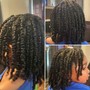 Two  Strand Twist Out/ Comb Twist