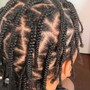 Individual Braids