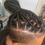 Individual Braids