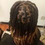 Root Touch Up