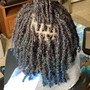 Kid's Braids into Ponytail