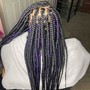 Plait Braids (No Extension)