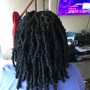 short butterfly locs