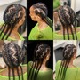 Braid design in front with sleek Ponytail