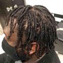 Natural 2 Strand Twists