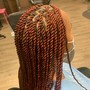 2 feed-in braids