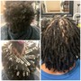 Loc Wash and Retwist