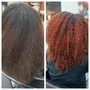 Root Touch Up