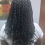 Lg Senegalese Twist