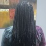 Starter Locs