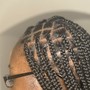 Extra Small Traditional Braids