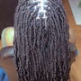 Senegalese Twist