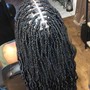 Kinky Twist