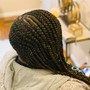 Small Havana Twists