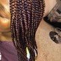 Box/regular braids waist length