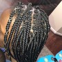 Box/regular braids waist length