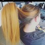 Feed in ponytail