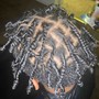 Adult Starter Locs