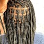 Fulani Braids