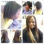 All Over Color, Root Touch Up, Style, Flat Iron, Updo, Women's Trim