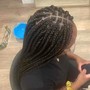 Box Braids (small-medium)