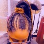 Braided ponytail