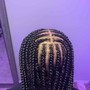 Tribal Braids