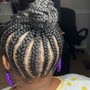 Extended Braided Ponytail