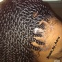 Jumbo Knotless Braids