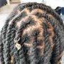 New Loc Coils PARTIAL HEAD (no sides or back)