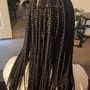 Large Bohemian/Goddess Knotless Braids