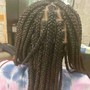 Poetic Justice Braids