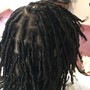 Starter locs kids 1-12